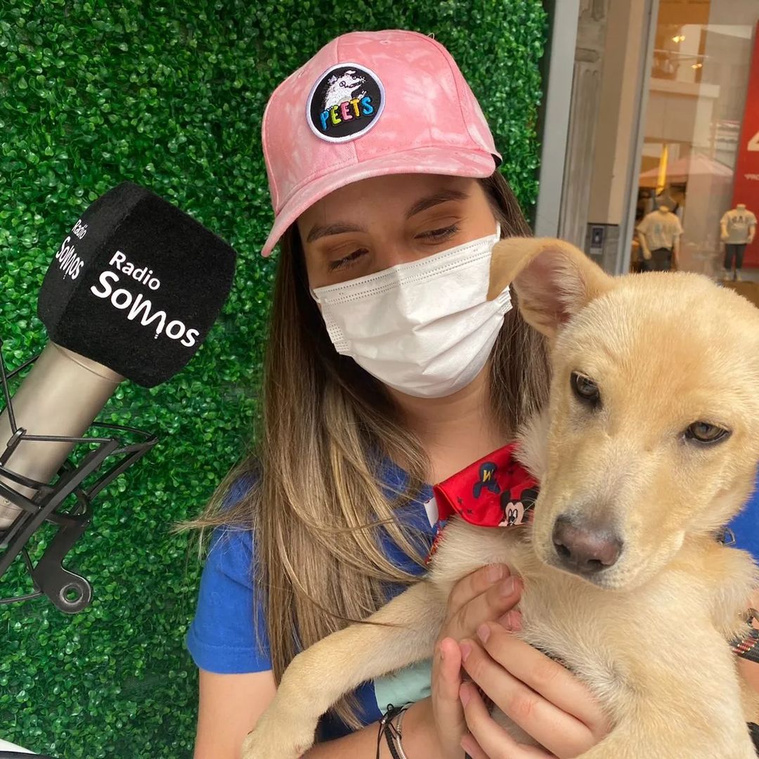 Radio Somos estuvo presente en la jornada de adopción de perritos en el Boulevard Marina Arauco
