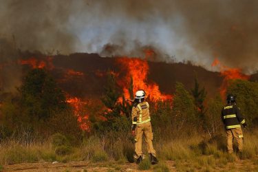 Incendio forestal en Valparaíso ha consumido más de 40 hectáreas y afectado a 35 viviendas hasta ahora