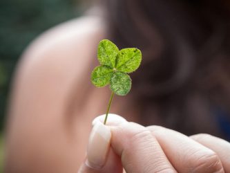 Imperdible: 6 “rituales” para atraer dinero y abundancia según el Feng Shui