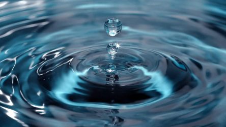 La reflexión que nos dejó el «Día Mundial del Agua»: Cuidar su uso y distribución