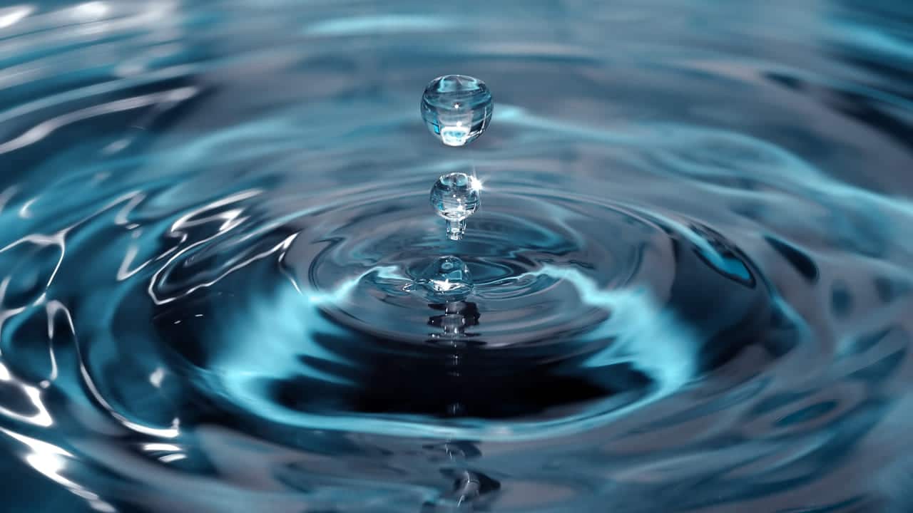 La reflexión que nos dejó el «Día Mundial del Agua»: Cuidar su uso y distribución