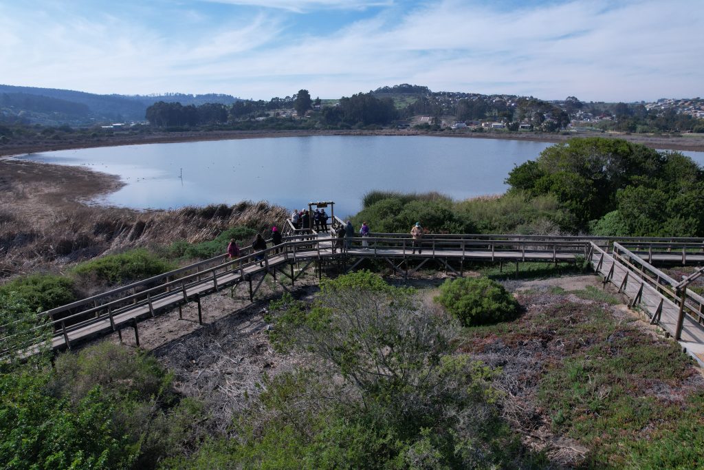 El Tabo: Santuario Laguna El Peral recupera su forma en casi medio siglo de aniversario