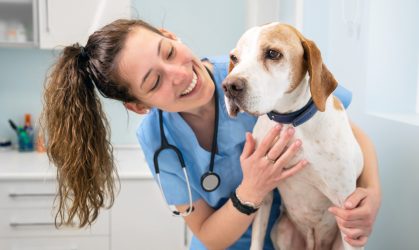 Quilpué: Comunidad celebra la creación de la clínica móvil veterinaria