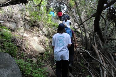 Hijuelas:  Estudiantes disfrutaron una entretenida clase al aire libre en su primera visita a La Campana 