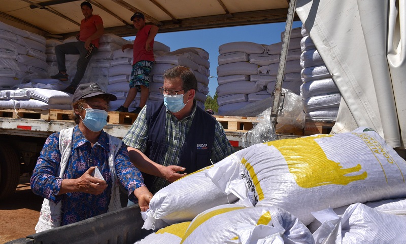 Petorca: INDAP inicia la entrega de más de 440 toneladas de fertilizantes para pequeños agricultores 