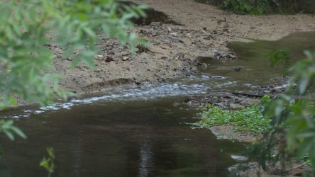 Villa Alemana: Avanza en el cuidado del medioambiente gracias a ordenanza para proteger humedales urbanos