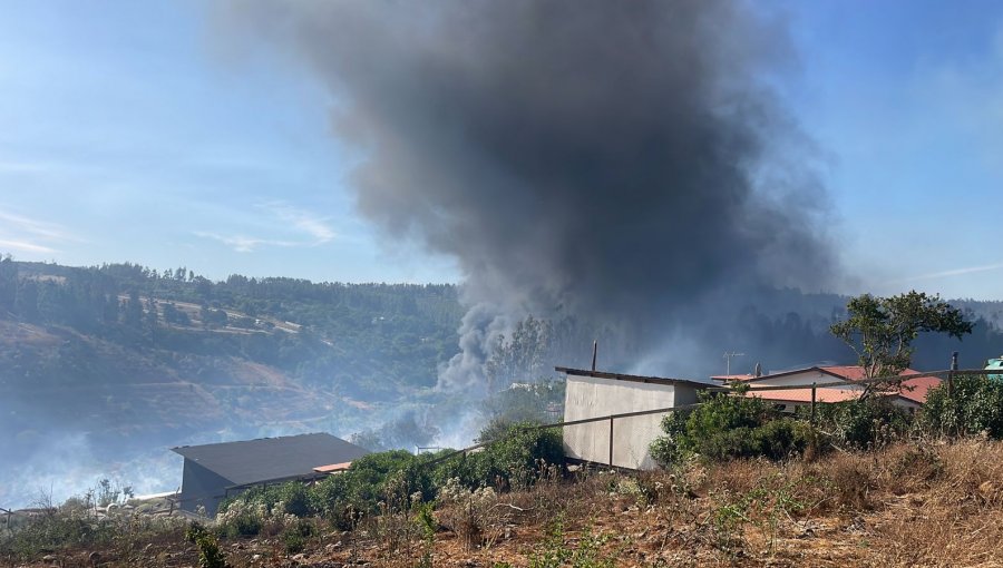 V Región: 10 casas destruidas y cuatro con daños graves deja incendio forestal entre Quintero y Quillota