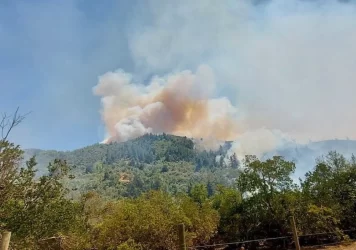 Villa Alemana: Incendio forestal obligó la evacuación de vecinos tras avance en Quebrada Escobares