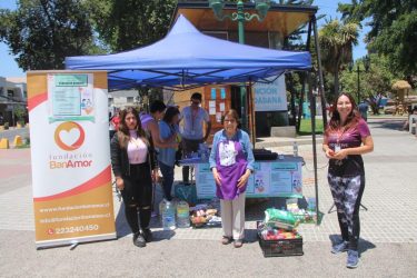 Quillota: Voluntarios lograron cargar camiones con ayuda para damnificados de Viña del Mar 