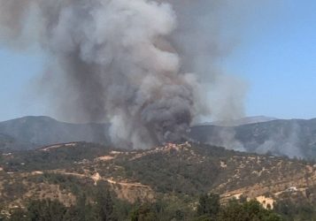 Quilpué: Más de 143 hectáreas fueron consumidas en incendio forestal del sector Los Coligües