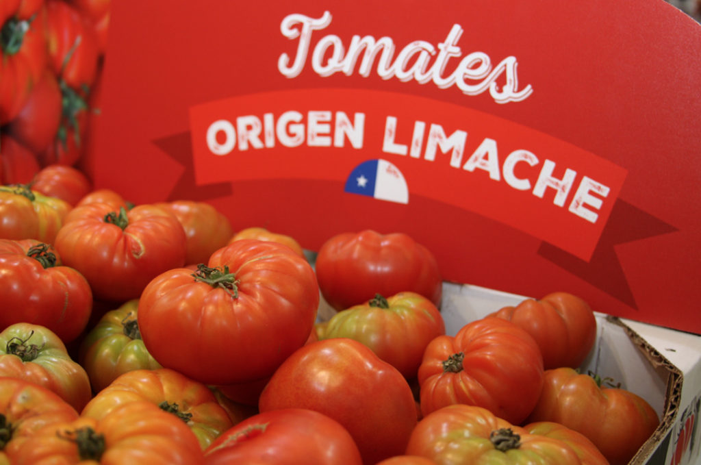 Limache: Vuelve «la Fiesta del Tomate»