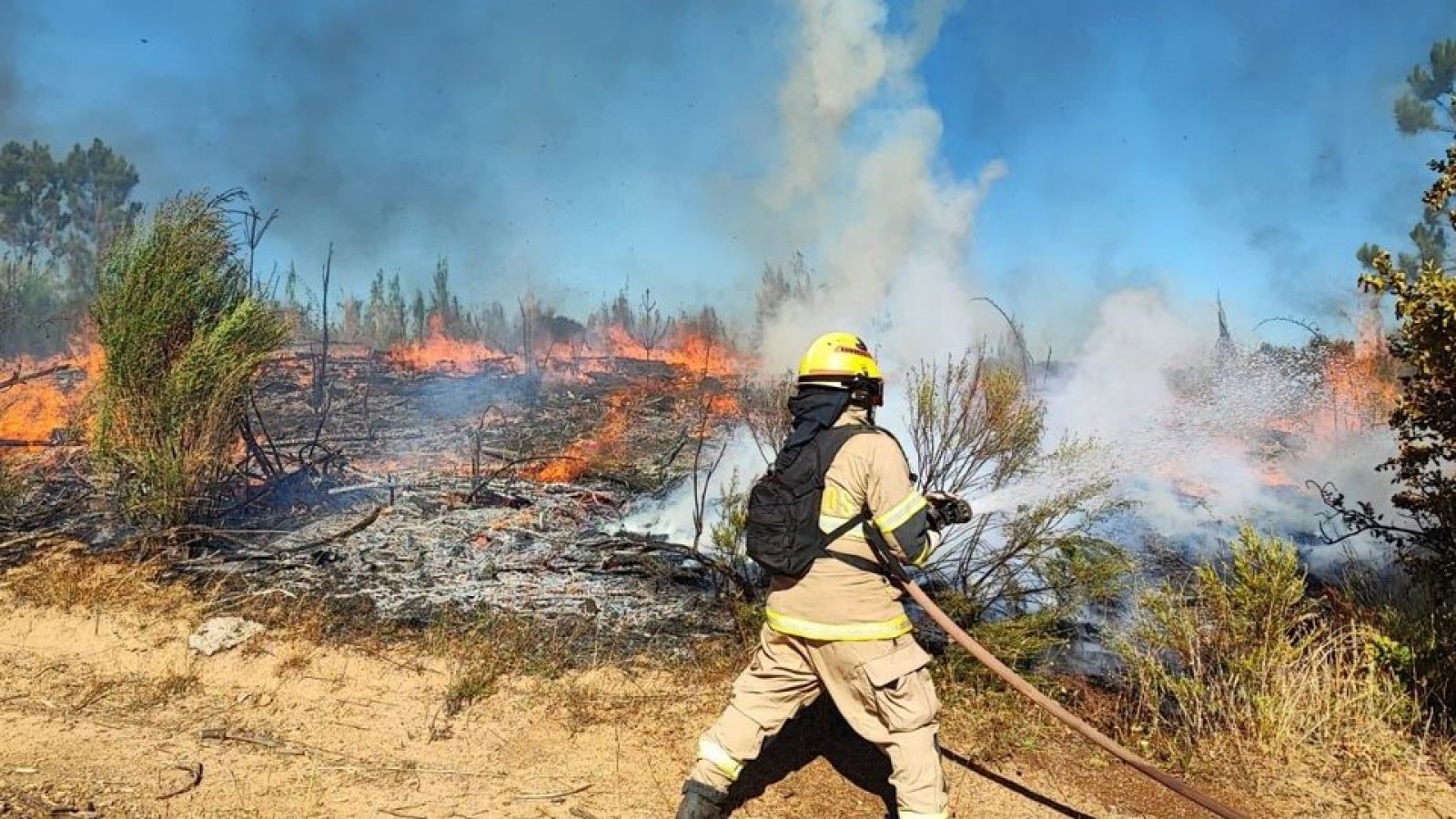 Incendios Forestales: 90 siniestros siguen activos y 350 mil hectáreas quemadas han sido consumidas por las llamas