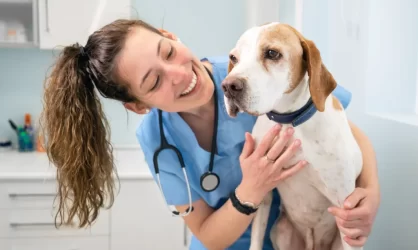 Quilpué: Farmacias municipales habilitan venta de medicamentos de uso veterinario 