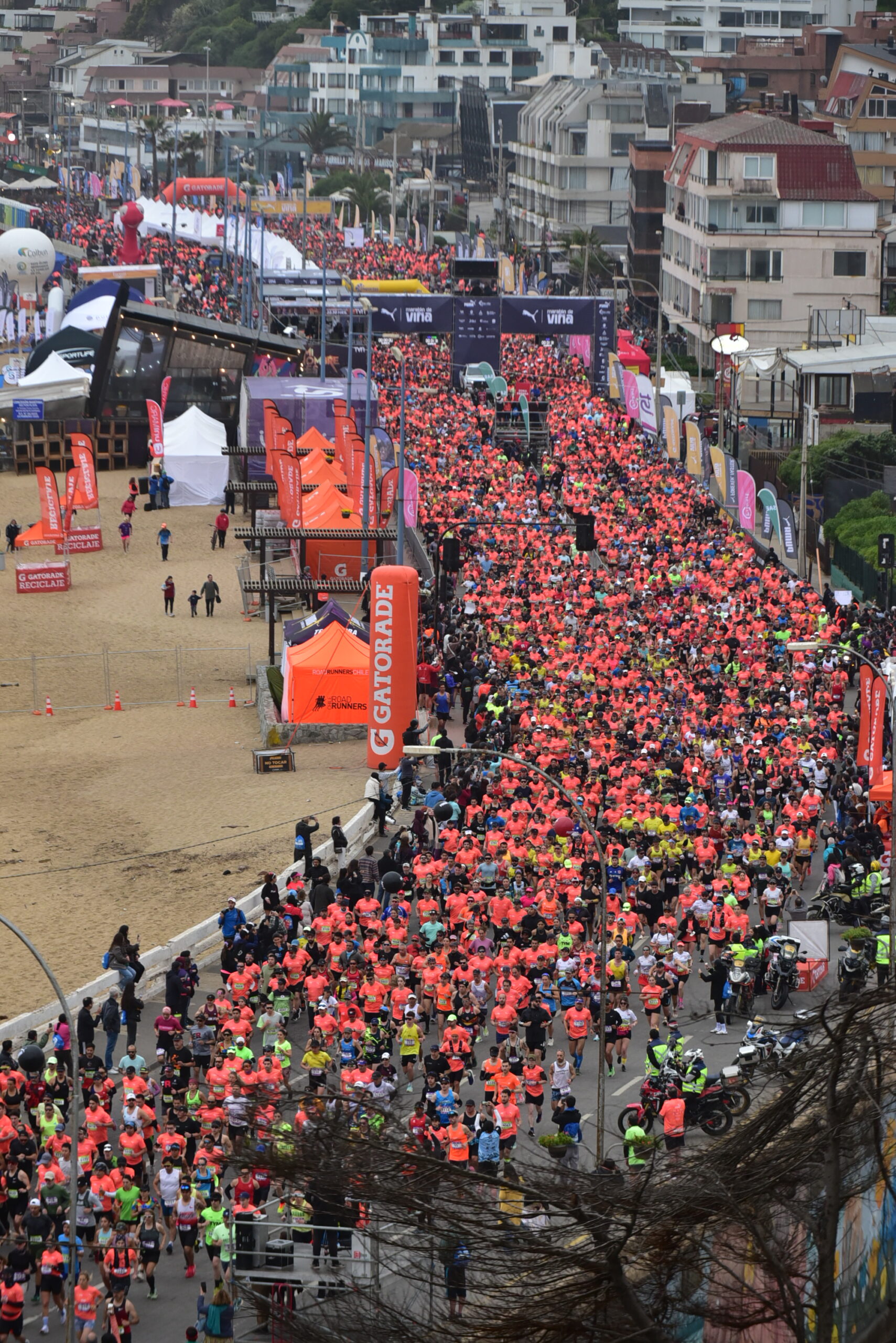 Maratón de Viña 2025: cortes de tránsito y plan de desvíos para la competencia con más de 15 mil corredores
