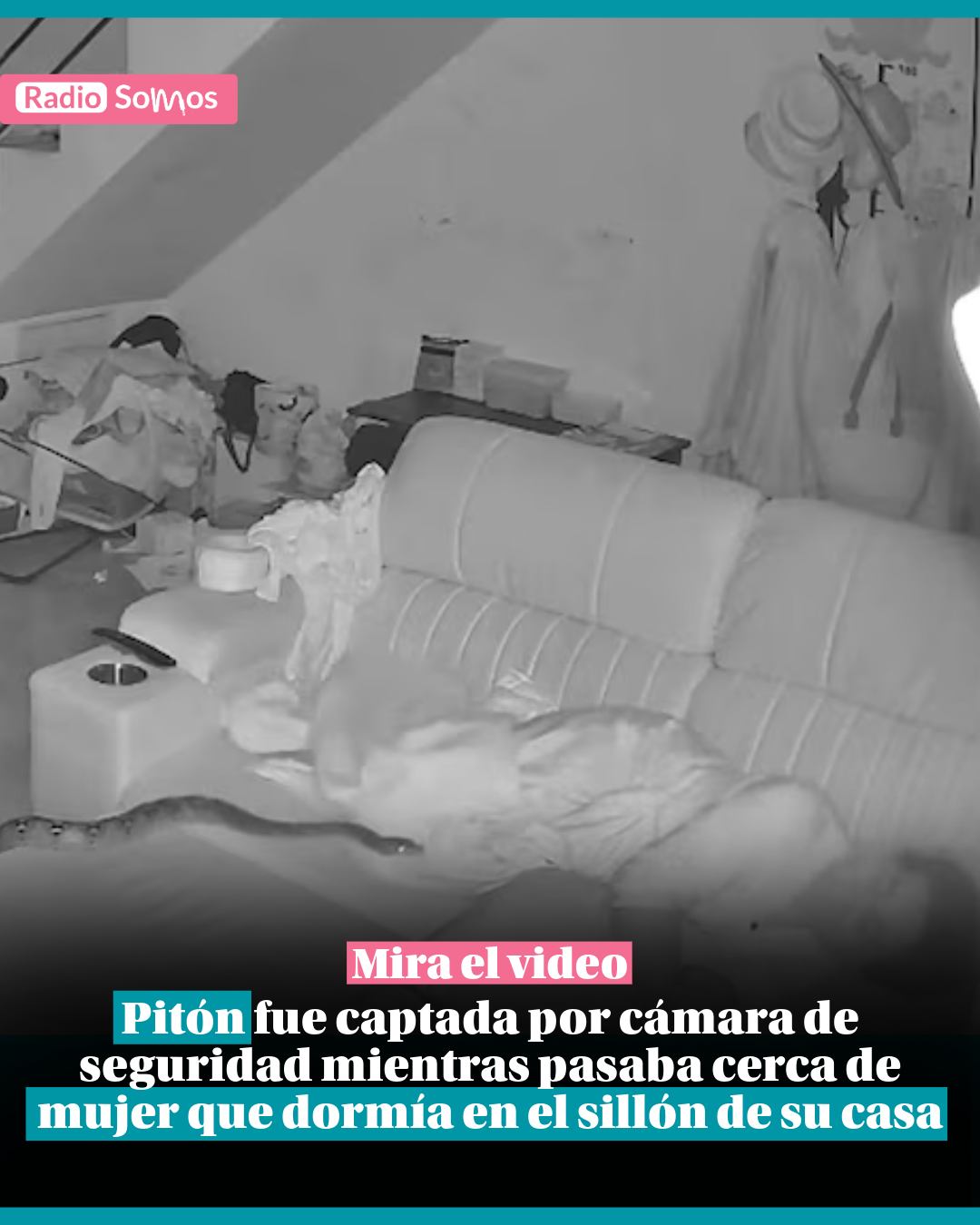 Pitón fue captada por cámara de seguridad mientras pasaba cerca de mujer que dormía en el sillón de su casa