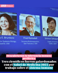 Tres científicos fueron galardonados con el Nobel de Medicina 2025 por trabajo sobre el sistema inmune